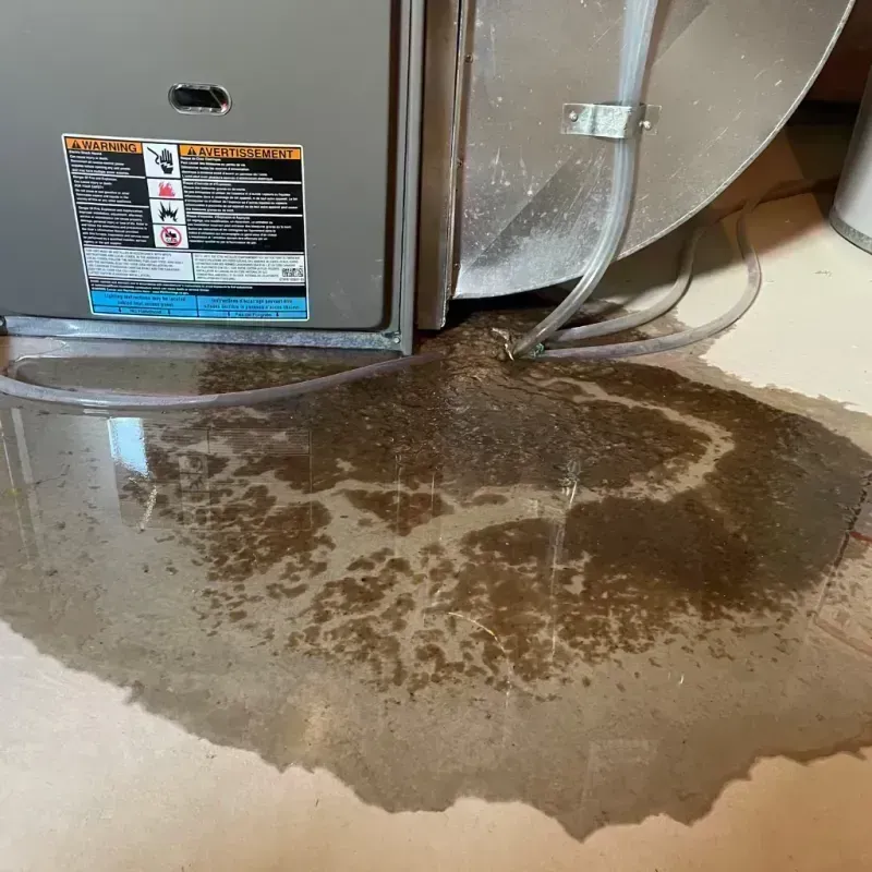 Appliance Leak Cleanup in Plains, KS